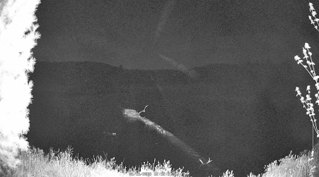 Image from 2025-05-16
