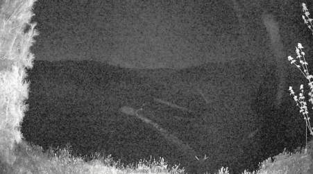 Image from 2025-05-16