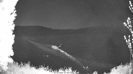 Image from 2025-05-16