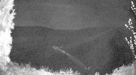 Image from 2025-05-16