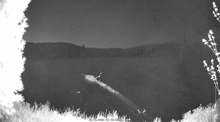 Image from 2025-05-16