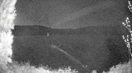 Image from 2025-05-16