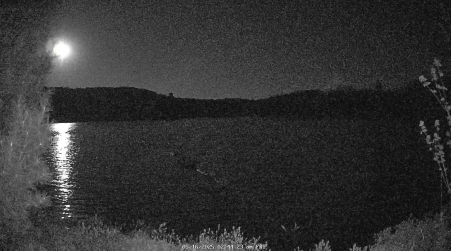Image from 2025-05-16