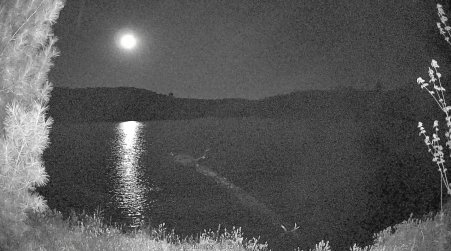 Image from 2025-05-16