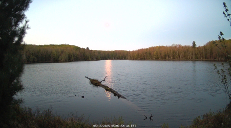 Image from 2025-05-16