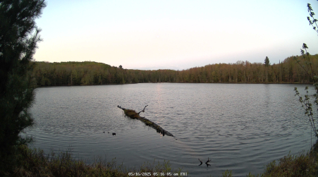 Image from 2025-05-16