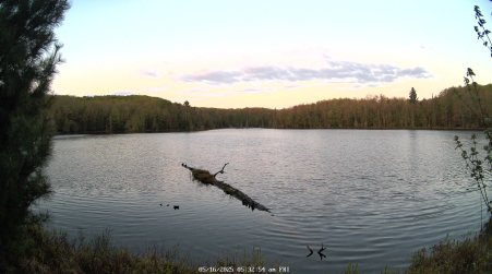 Image from 2025-05-16
