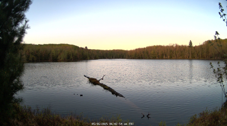 Image from 2025-05-16