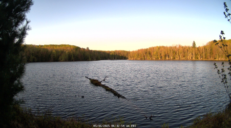 Image from 2025-05-16