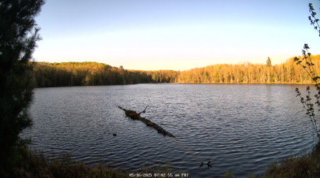 Image from 2025-05-16