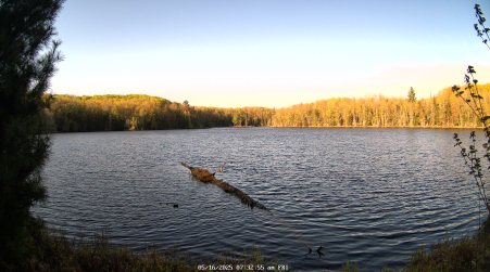 Image from 2025-05-16