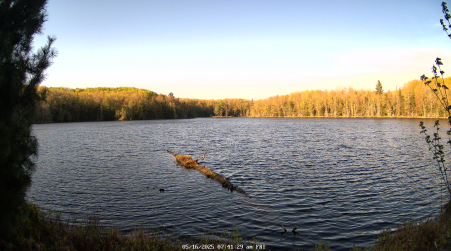Image from 2025-05-16