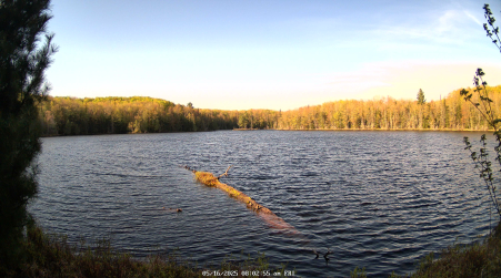 Image from 2025-05-16