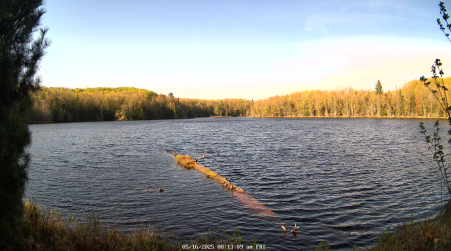 Image from 2025-05-16