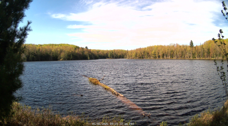 Image from 2025-05-16