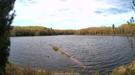 Image from 2025-05-16