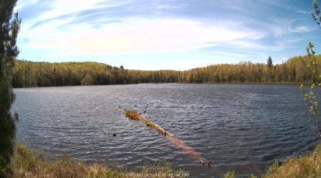 Image from 2025-05-16