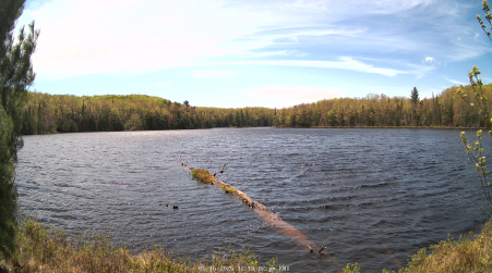 Image from 2025-05-16
