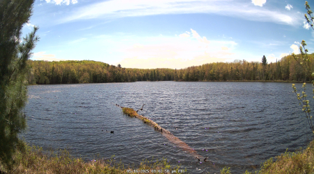 Image from 2025-05-16