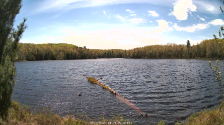 Image from 2025-05-16