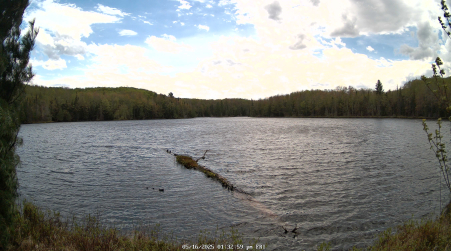 Image from 2025-05-16