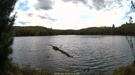 Image from 2025-05-16