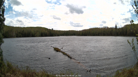 Image from 2025-05-16