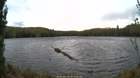 Image from 2025-05-16