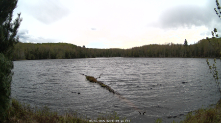 Image from 2025-05-16