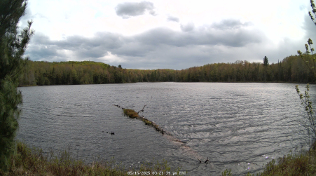 Image from 2025-05-16