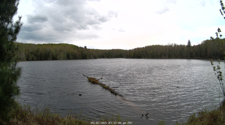 Image from 2025-05-16