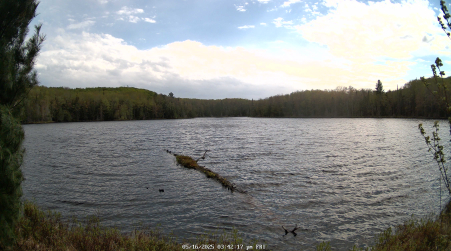 Image from 2025-05-16