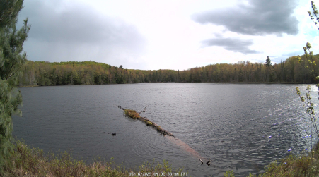 Image from 2025-05-16