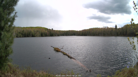Image from 2025-05-16