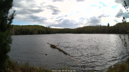 Image from 2025-05-16