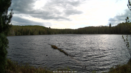 Image from 2025-05-16