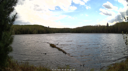 Image from 2025-05-16