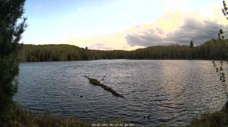 Image from 2025-05-16