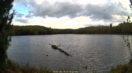 Image from 2025-05-16