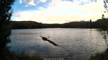 Image from 2025-05-16