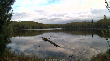 Image from 2025-05-16