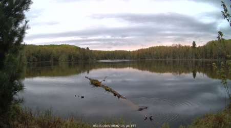 Image from 2025-05-16
