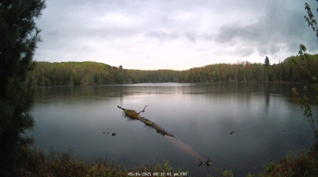 Image from 2025-05-16