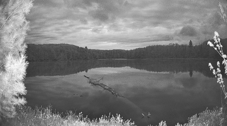 Image from 2025-05-16