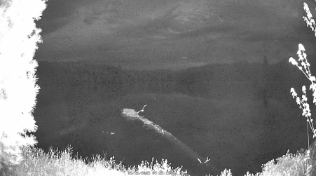 Image from 2025-05-16