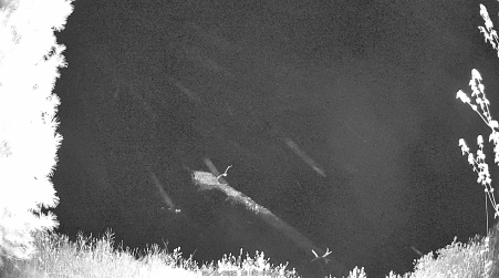 Image from 2025-05-16