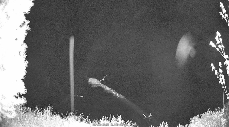 Image from 2025-05-16