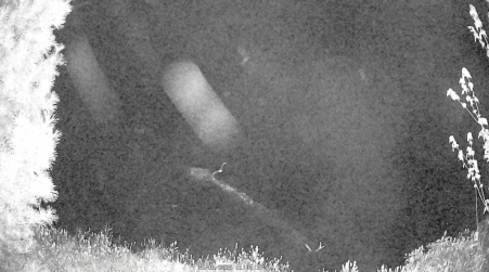 Image from 2025-05-16