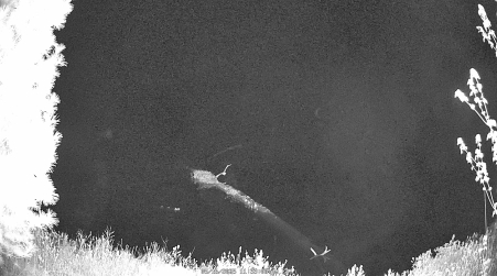 Image from 2025-05-16