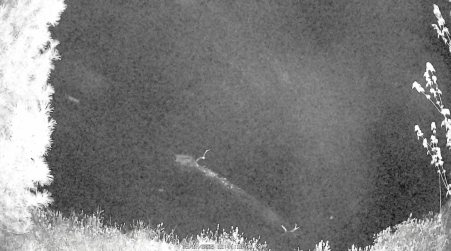 Image from 2025-05-17